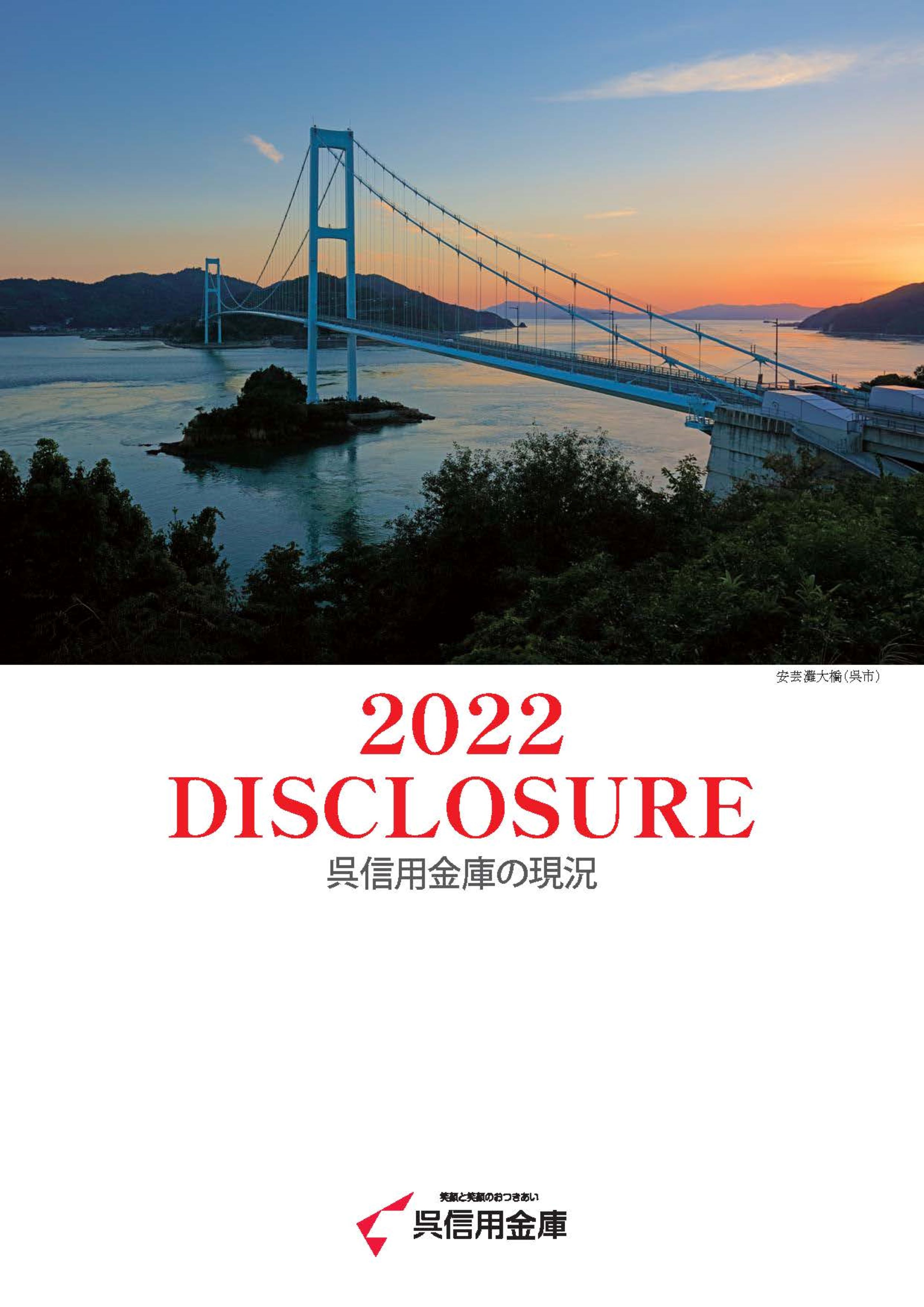 ディスクロージャー誌 ディスクロージャー誌