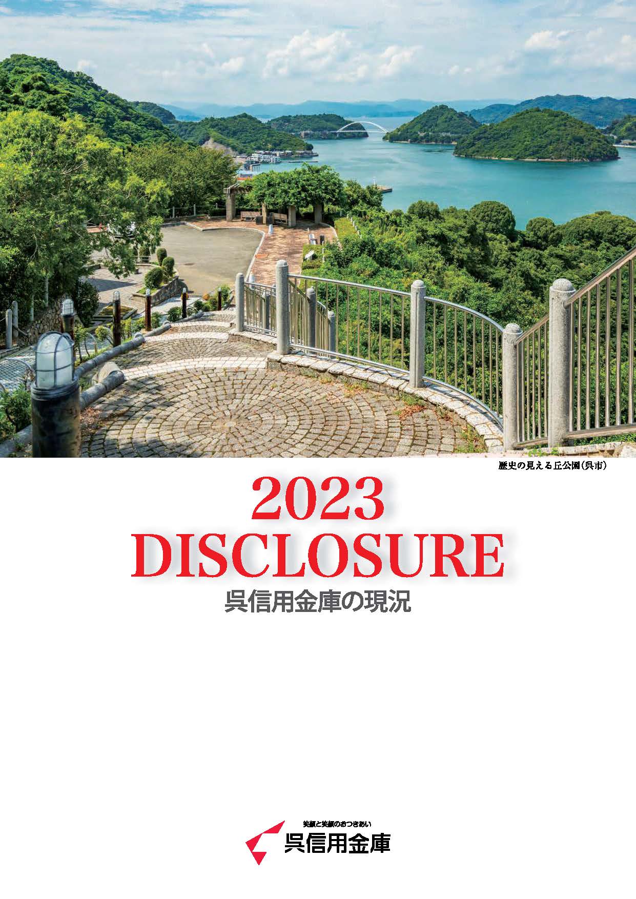 ディスクロージャー誌 ディスクロージャー誌